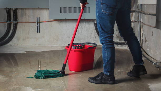 Best Mold removal after water damage  in Atlantic Highlands, NJ