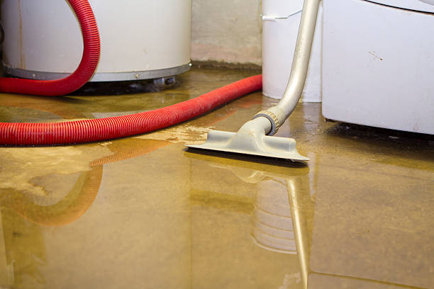 Best Local water damage restoration  in Atlantic Highlands, NJ